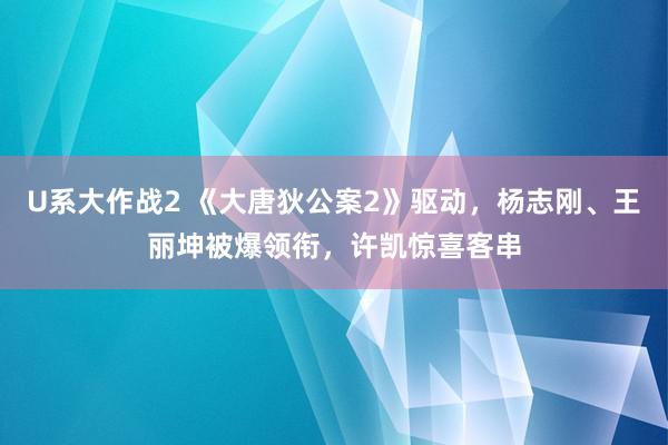U系大作战2 《大唐狄公案2》驱动，杨志刚、王丽坤被爆领衔，许凯惊喜客串