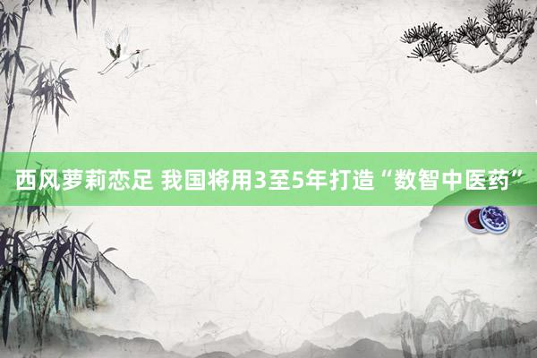 西风萝莉恋足 我国将用3至5年打造“数智中医药”